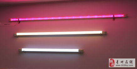 點(diǎn)亮綠色未來(lái) LED節(jié)能燈與環(huán)保裝飾材料的批發(fā)與零售新趨勢(shì)